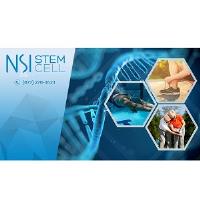 NSI Stem Cell image 2